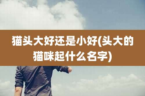 猫头大好还是小好(头大的猫咪起什么名字)