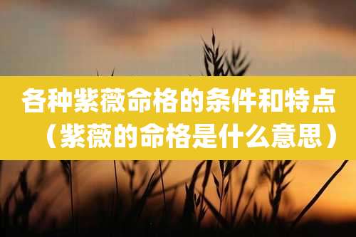 各种紫薇命格的条件和特点（紫薇的命格是什么意思）