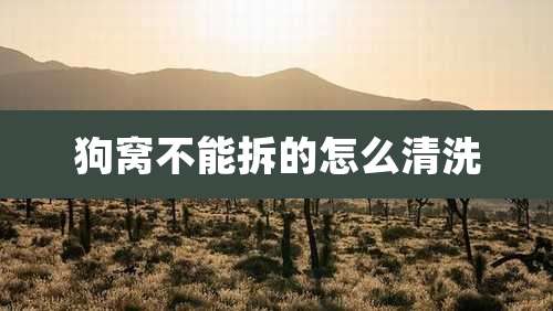 狗窝不能拆的怎么清洗