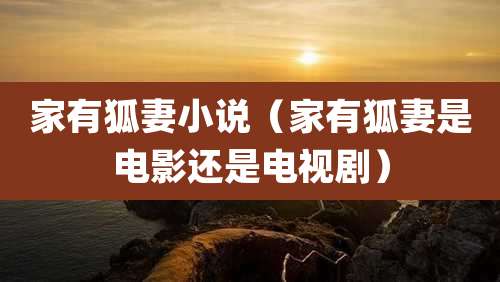 家有狐妻小说（家有狐妻是电影还是电视剧）