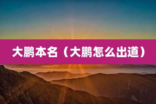 大鹏本名（大鹏怎么出道）