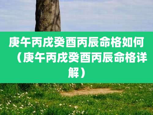 庚午丙戌癸酉丙辰命格如何(庚午丙戌癸酉丙辰命格详解)