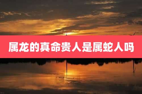 属龙的真命贵人是属蛇人吗