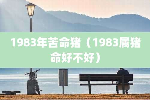 1983年苦命猪（1983属猪命好不好）
