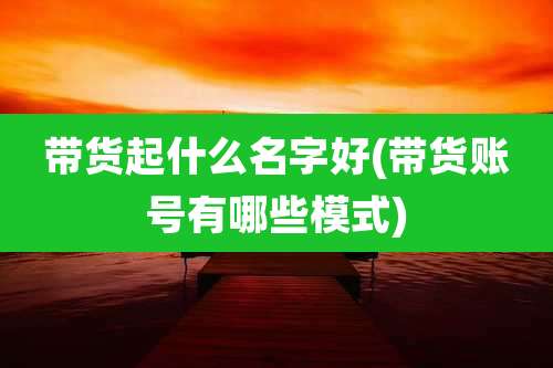 带货起什么名字好(带货账号有哪些模式)