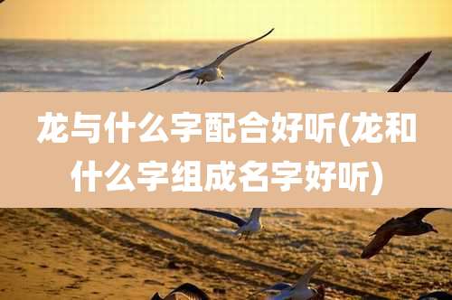 龙与什么字配合好听(龙和什么字组成名字好听)