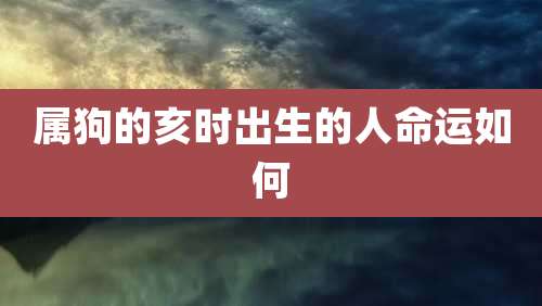 属狗的亥时出生的人命运如何