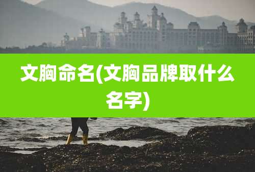 文胸命名(文胸品牌取什么名字)