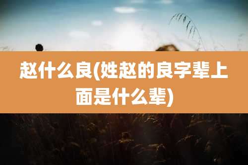 赵什么良(姓赵的良字辈上面是什么辈)