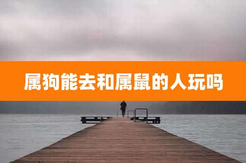 属狗能去和属鼠的人玩吗