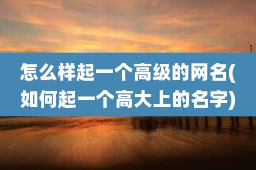 怎么样起一个高级的网名(如何起一个高大上的名字)