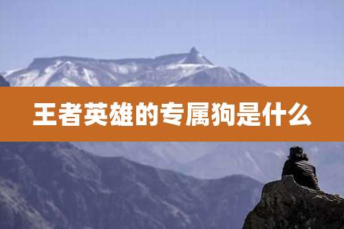 王者英雄的专属狗是什么