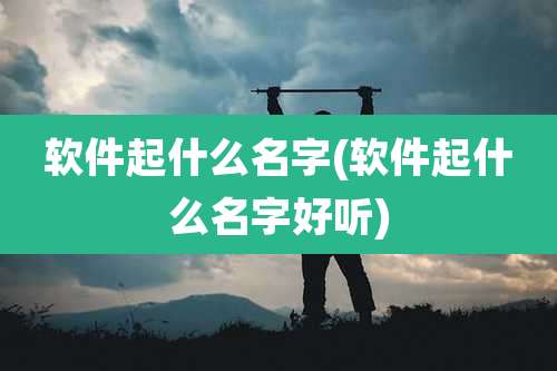 软件起什么名字(软件起什么名字好听)