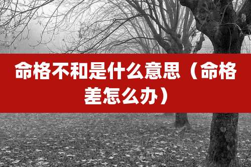 命格不和是什么意思（命格差怎么办）