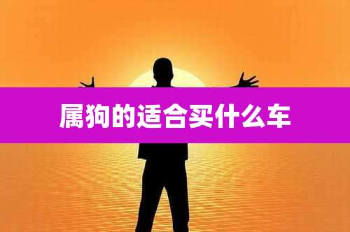 属狗的适合买什么车