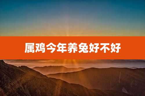 属鸡今年养兔好不好