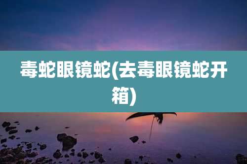 毒蛇眼镜蛇(去毒眼镜蛇开箱)