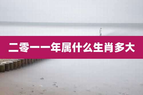 二零一一年属什么生肖多大