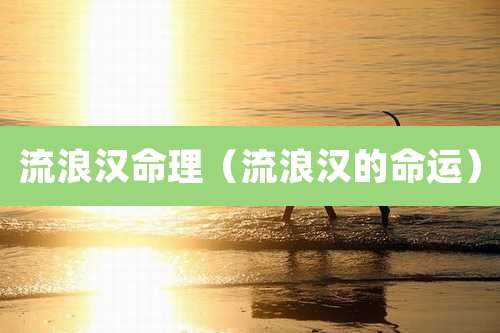 流浪汉命理（流浪汉的命运）