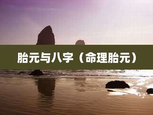 胎元与八字(命理胎元)