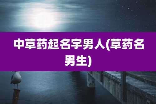 中草药起名字男人(草药名男生)