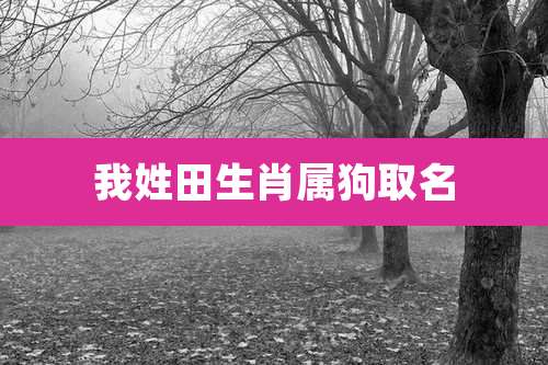 我姓田生肖属狗取名