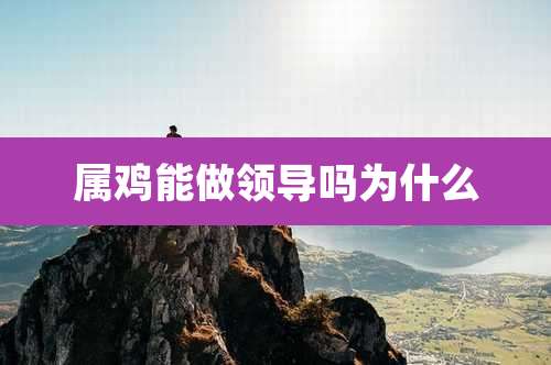 属鸡能做领导吗为什么