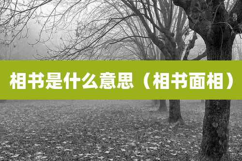 相书是什么意思（相书面相）