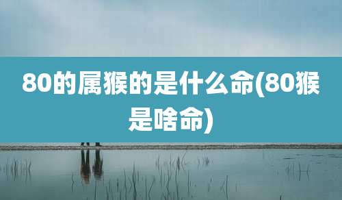 80的属猴的是什么命(80猴是啥命)