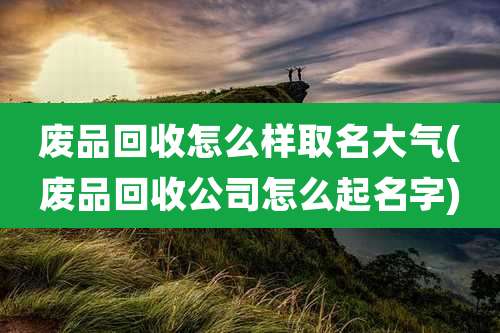 废品回收怎么样取名大气(废品回收公司怎么起名字)