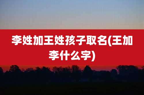 李姓加王姓孩子取名(王加李什么字)