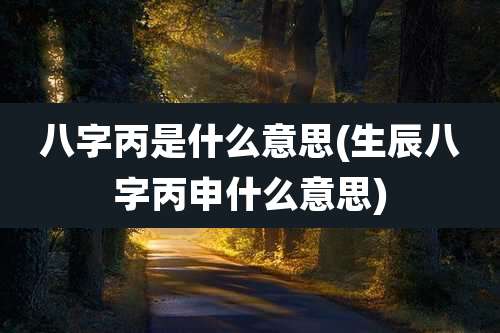 八字丙是什么意思(生辰八字丙申什么意思)