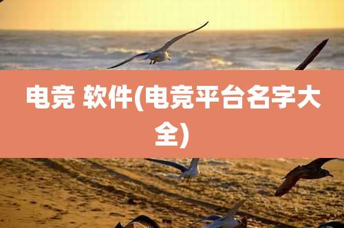 电竞 软件(电竞平台名字大全)