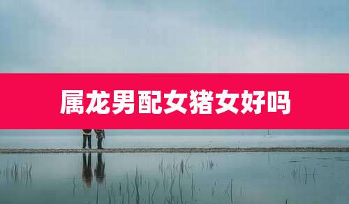 属龙男配女猪女好吗
