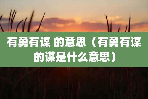 有勇有谋 的意思（有勇有谋的谋是什么意思）