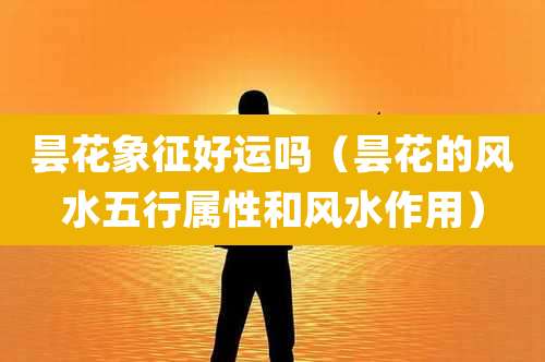 昙花象征好运吗（昙花的风水五行属性和风水作用）