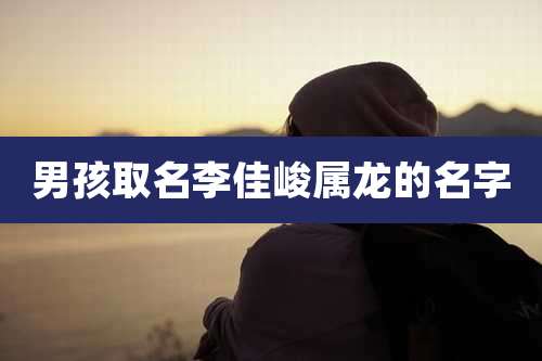 男孩取名李佳峻属龙的名字