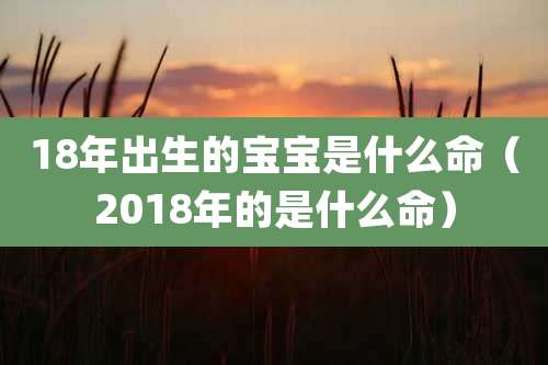 18年出生的宝宝是什么命（2018年的是什么命）