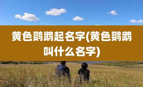 黄色鹦鹉起名字(黄色鹦鹉叫什么名字)