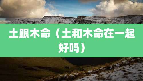 土跟木命（土和木命在一起好吗）