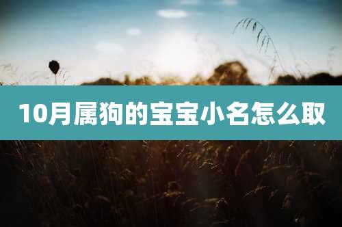 10月属狗的宝宝小名怎么取