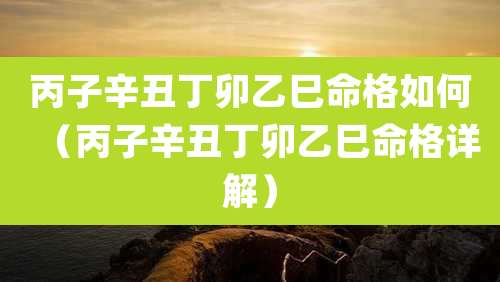 丙子辛丑丁卯乙巳命格如何（丙子辛丑丁卯乙巳命格详解）
