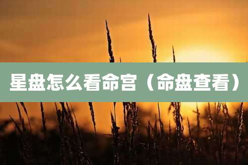 星盘怎么看命宫（命盘查看）