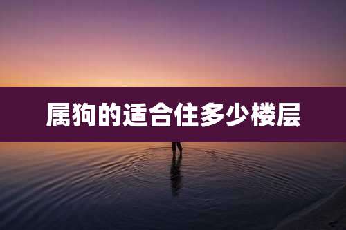 属狗的适合住多少楼层