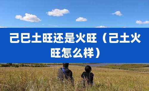 己巳土旺还是火旺(己土火旺怎么样)