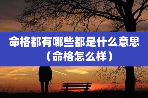 命格都有哪些都是什么意思（命格怎么样）