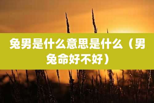 兔男是什么意思是什么（男兔命好不好）