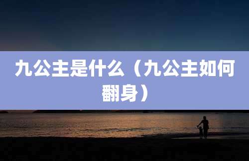 九公主是什么(九公主如何翻身)