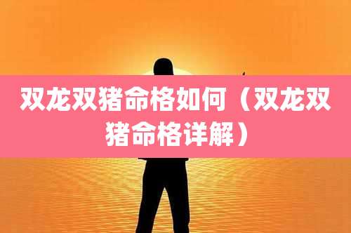双龙双猪命格如何(双龙双猪命格详解)