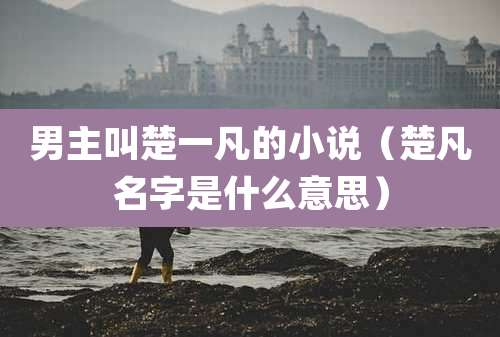 男主叫楚一凡的小说(楚凡名字是什么意思)